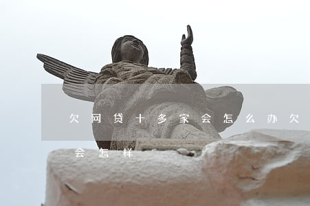 欠网贷十多家会怎么办(欠十个网贷都逾期了,会怎样)
