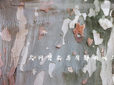 欠网贷卖房有影响吗(欠了网贷应不应该卖房子)