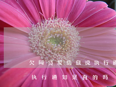 欠网贷发信息说执行通知是真的么(网贷发的执行通知是真的吗)