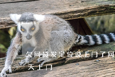 欠网贷发定位说上门了(网贷说定位到我了,明天上门)
