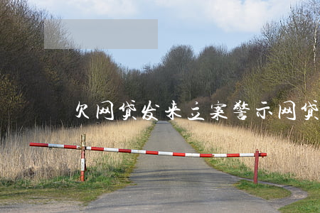 欠网贷发来立案警示(网贷立案通知)