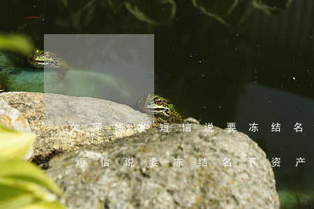 欠网贷发短信说要冻结名下资产-欠网贷发短信说要冻结名下资产是真的吗