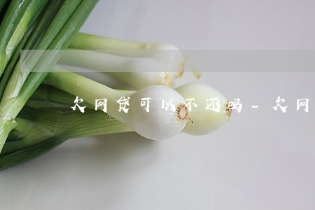 欠网贷可以不还吗-欠网贷可以不还吗知乎
