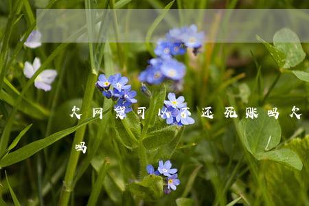 欠网贷可以不还死账吗(欠网贷可以不还死账吗)