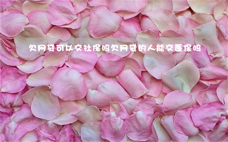 欠网贷可以交社保吗(欠网贷的人能交医保吗)