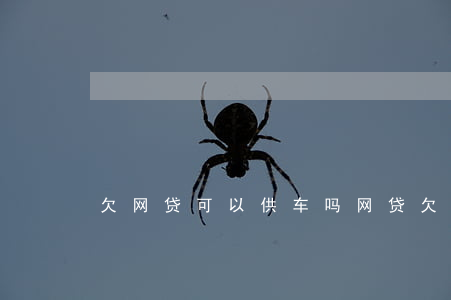欠网贷可以供车吗(网贷欠款还能买车吗?)