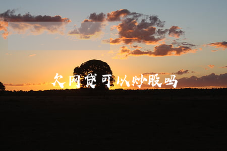 欠网贷可以炒股吗