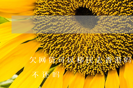 欠网贷可以移民去香港吗(欠网贷移民了可以不还吗)
