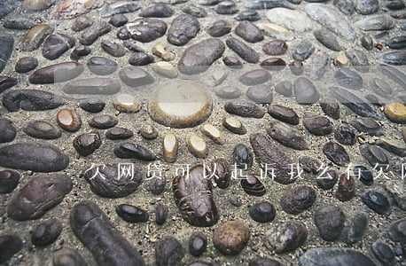 欠网贷可以起诉我么(有欠网贷被起诉的吗)