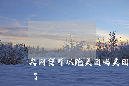 欠网贷可以跑美团吗(美团网贷是不是不用还了)