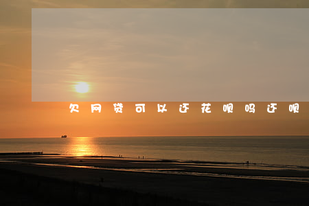 欠网贷可以还花呗吗(还呗可以还网贷吗)