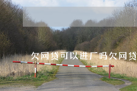 欠网贷可以进厂吗(欠网贷可以去工厂打工吗)