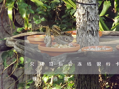 欠网贷后会冻结银行卡吗(网贷欠款银行卡会被冻结吗)