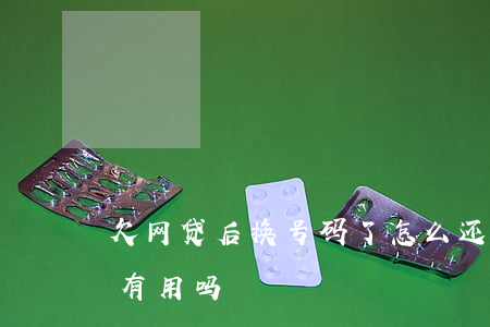 欠网贷后换号码了怎么还(网贷欠款换手机号有用吗)