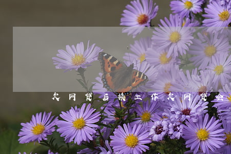 欠网贷后换工作(欠网贷会影响找工作吗)