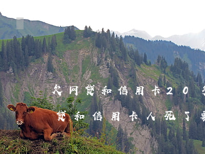 欠网贷和信用卡20多万怎么死(欠几十万网贷和信用卡人死了要还吗)