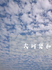 欠网贷和信用卡40万怎么上岸-
