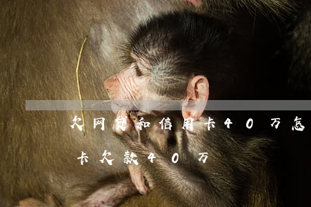 欠网贷和信用卡40万怎么上岸(网贷加信用卡欠款40万)