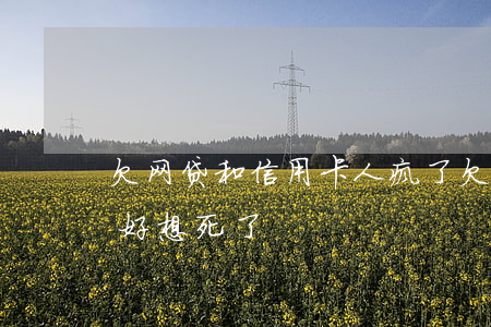 欠网贷和信用卡人疯了(欠了很多网贷信用卡,好想死了)