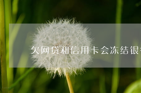 欠网贷和信用卡会冻结银行卡吗-
