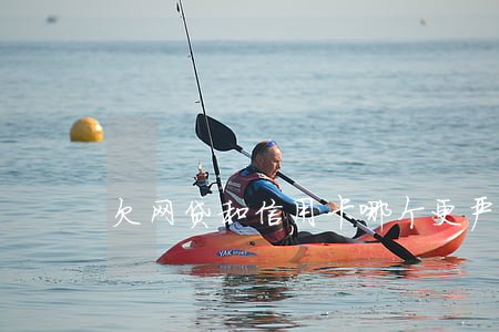 欠网贷和信用卡哪个更严重(欠了网贷信用卡)