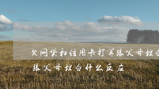 欠网贷和信用卡打算跟父母坦白了-欠网贷跟父母坦白什么反应