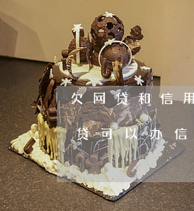 欠网贷和信用卡的人能当法人吗(欠了很多网贷可以办信用卡吗)