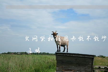欠网贷和信用卡能不能炒股(用信用卡炒股可以吗)