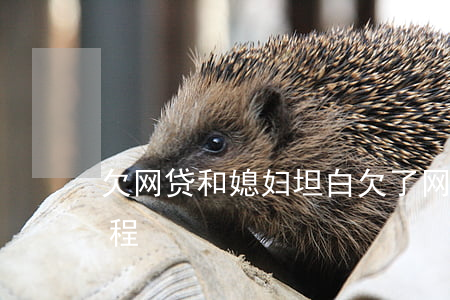 欠网贷和媳妇坦白(欠了网贷跟家人坦白的过程)