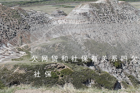 欠网贷和社保有关系吗(欠网贷交社保交不了社保)