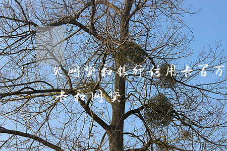 欠网贷和银行信用卡百万(欠了100万信用卡和网贷)