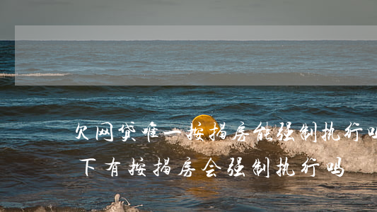 欠网贷唯一按揭房能强制执行吗(欠了网贷名下有按揭房会强制执行吗)
