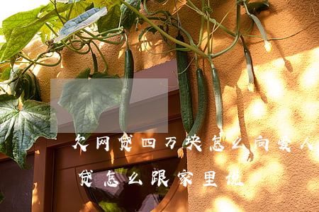 欠网贷四万块怎么向爱人交代(欠了四十万网贷怎么跟家里说)