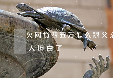 欠网贷四五万怎么跟父亲坦白(欠网贷跟家里人坦白了)