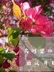 欠网贷四五年怎么还不被起诉(欠网贷3年了他没有起诉是不是已经)