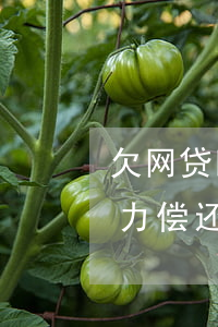 欠网贷四年了无力偿还怎么处理(欠了网贷无力偿还怎么办)