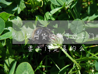 欠网贷四年了说上门咋办(欠两千网贷人家说要上门是真的么)