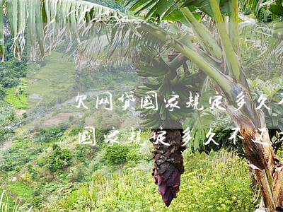 欠网贷国家规定多久不还才被起诉-欠网贷国家规定多久不还才被起诉呢