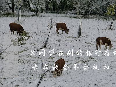 欠网贷在别的银行存钱有影响吗(欠网贷银行卡存钱会不会被扣)