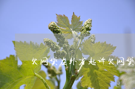 欠网贷在外省起诉(欠网贷被外地法院起诉)