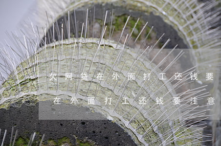 欠网贷在外面打工还钱要注意什么-欠网贷在外面打工还钱要注意什么问题