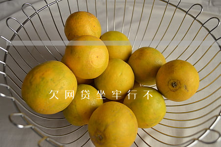 欠网贷坐牢行不
