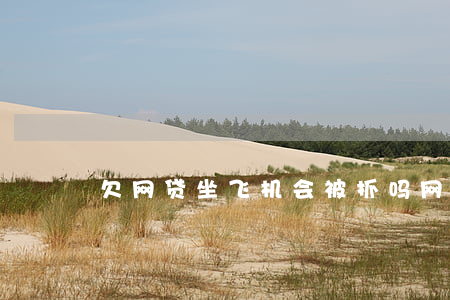 欠网贷坐飞机会被抓吗(网贷严重逾期坐飞机)