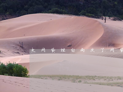 欠网贷坦白两次了(网贷多次坦白)