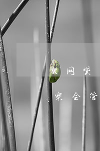 欠网贷多久不还警方可以介入(欠网贷不还警察会管吗)