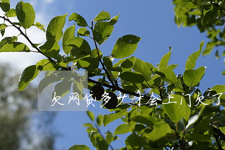 欠网贷多少才会上门(欠了网贷多少钱会上门)