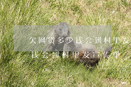 欠网贷多少钱会到村里发宣传单(欠网贷多少钱会到村里发宣传单)