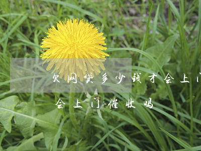 欠网贷多少钱才会上门催收(网贷欠了一万多会上门催收吗)