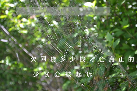 欠网贷多少钱才会真正的被起诉(欠了网贷多少钱会被起诉)