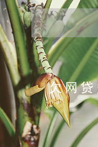 欠网贷多少钱法院会冻结银行卡-